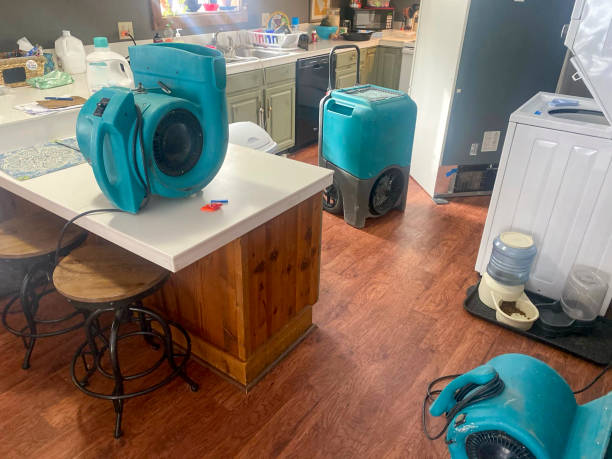Best Water damage restoration specialists  in Bonner Springs, KS