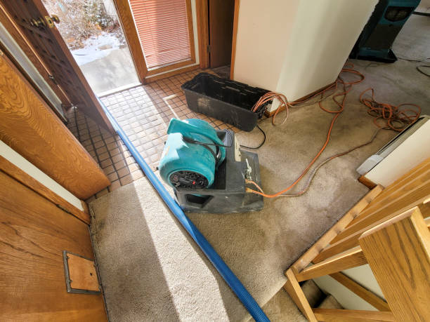 Best Water damage restoration cost  in Bonner Springs, KS