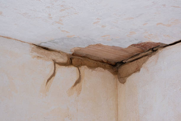 Best Residential water damage restoration  in Bonner Springs, KS