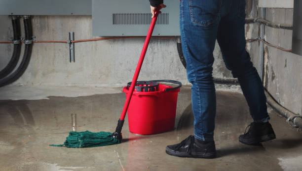 Best Flooded house restoration  in Bonner Springs, KS