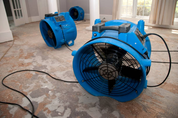 Best Sewage cleanup and water damage restoration  in Bonner Springs, KS