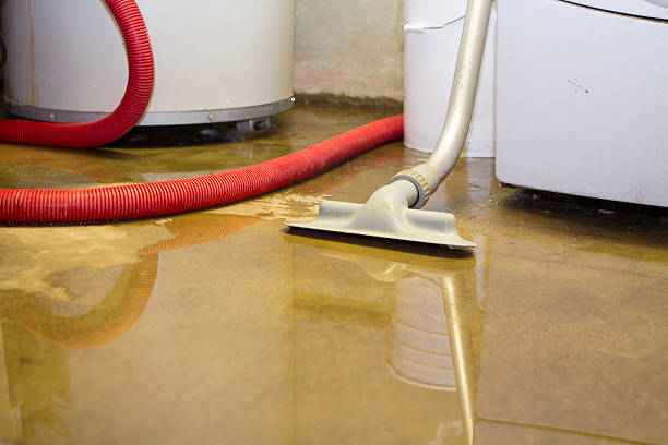 Best 24/7 water damage repair  in Bonner Springs, KS