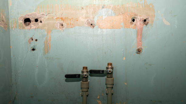 Best Flood restoration services  in Bonner Springs, KS