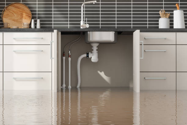 Best Water damage restoration insurance claims  in Bonner Springs, KS