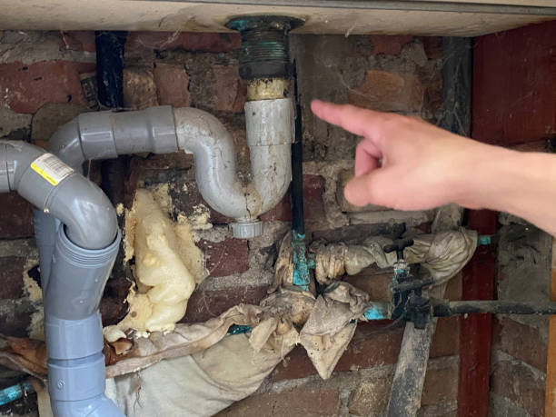 Best Professional water damage repair  in Bonner Springs, KS