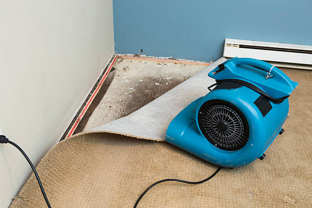 Best Flooded house restoration  in Bonner Springs, KS